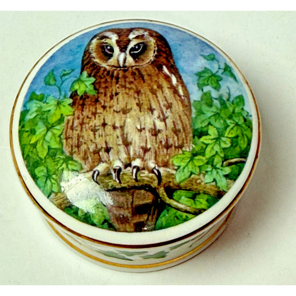 Fine Bone China Owl & Ivy Trinket Pill Box Objets D'Art Made in England Bird - Picture 1 of 5